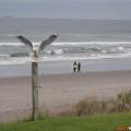 30/11/2006 a mt maunganui